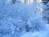 Файл=2~51.jpg
Объём=265KB
Размеры=800x600
Дата=Апр 11, 2010 2~51.jpg
