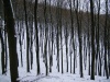 Файл=29~6.jpg
Объём=236KB
Размеры=800x600
Дата=Нояб 24, 2008 29~6.jpg