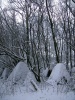 Файл=3~0.jpg
Объём=278KB
Размеры=600x800
Дата=Нояб 24, 2008 3~0.jpg