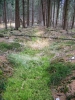 Файл=3~24.jpg
Объём=221KB
Размеры=600x800
Дата=Дек 12, 2009 3~24.jpg