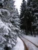 Файл=30~6.jpg
Объём=258KB
Размеры=600x800
Дата=Нояб 24, 2008 30~6.jpg