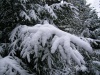Файл=31~6.jpg
Объём=198KB
Размеры=800x600
Дата=Нояб 24, 2008 31~6.jpg