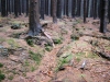 Файл=34~7.jpg
Объём=224KB
Размеры=800x600
Дата=Фев 23, 2009 34~7.jpg
