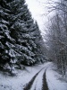 Файл=35~6.jpg
Объём=261KB
Размеры=600x800
Дата=Нояб 24, 2008 35~6.jpg