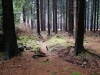 Файл=35~7.jpg
Объём=226KB
Размеры=800x600
Дата=Фев 23, 2009 35~7.jpg