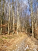 Файл=37~12.jpg
Объём=303KB
Размеры=600x800
Дата=Янв 03, 2010 37~12.jpg