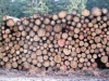 Файл=40~13.jpg
Объём=259KB
Размеры=800x600
Дата=Март 06, 2010 40~13.jpg