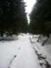 Файл=41~12.jpg
Объём=103KB
Размеры=600x800
Дата=Дек 29, 2010 41~12.jpg