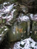 Файл=44~8.jpg
Объём=227KB
Размеры=600x800
Дата=Янв 03, 2010 44~8.jpg