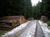 Файл=450.jpg
Объём=199KB
Размеры=800x600
Дата=Фев 23, 2009 450.jpg