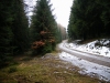 Файл=52~3.jpg
Объём=196KB
Размеры=800x600
Дата=Фев 23, 2009 52~3.jpg
