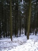 Файл=54~2.jpg
Объём=194KB
Размеры=600x800
Дата=Нояб 24, 2008 54~2.jpg