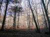 Файл=55~7.jpg
Объём=305KB
Размеры=800x600
Дата=Янв 03, 2010 55~7.jpg