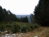 Файл=56~4.jpg
Объём=148KB
Размеры=800x600
Дата=Фев 23, 2009 56~4.jpg