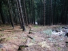Файл=63~2.jpg
Объём=238KB
Размеры=800x600
Дата=Фев 23, 2009 63~2.jpg