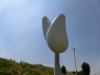 CIMG0120.JPG