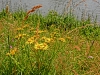 Файл=CIMG0208.JPG
Объём=1663KB
Размеры=2048x1536
Дата=Июль 14, 2013 CIMG0208.JPG