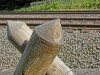CIMG0415.JPG