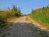 Файл=CIMG0423.JPG
Объём=1735KB
Размеры=2048x1536
Дата=Июль 28, 2013 CIMG0423.JPG