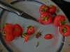 CIMG0456.JPG