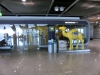 CIMG0835.JPG