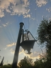 Файл=CIMG0967.JPG
Объём=402KB
Размеры=1536x2048
Дата=Сент 25, 2013 CIMG0967.JPG