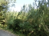 Файл=CIMG1424.JPG
Объём=734KB
Размеры=2048x1536
Дата=Сент 11, 2013 CIMG1424.JPG