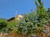 Файл=CIMG1497.JPG
Объём=803KB
Размеры=2048x1536
Дата=Сент 11, 2013 CIMG1497.JPG