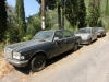 CIMG1509.JPG