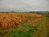 Файл=CIMG2229.JPG
Объём=1504KB
Размеры=2048x1536
Дата=Окт 06, 2013 CIMG2229.JPG