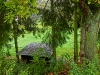 Файл=CIMG2244.JPG
Объём=1596KB
Размеры=2048x1536
Дата=Окт 06, 2013 CIMG2244.JPG
