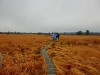 Файл=CIMG2366.JPG
Объём=1054KB
Размеры=2048x1536
Дата=Дек 14, 2013 CIMG2366.JPG