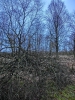 Файл=CIMG2788.JPG
Объём=357KB
Размеры=768x1024
Дата=Март 01, 2014 CIMG2788.JPG