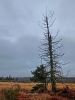Файл=CIMG2799.JPG
Объём=133KB
Размеры=768x1024
Дата=Март 01, 2014 CIMG2799.JPG