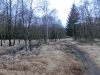 Файл=CIMG2800.JPG
Объём=265KB
Размеры=1024x768
Дата=Март 01, 2014 CIMG2800.JPG