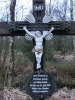 Файл=CIMG2811.JPG
Объём=228KB
Размеры=768x1024
Дата=Март 01, 2014 CIMG2811.JPG