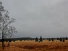 Файл=CIMG2828.JPG
Объём=55KB
Размеры=768x576
Дата=Март 01, 2014 CIMG2828.JPG
