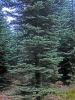 Файл=CIMG2847.JPG
Объём=233KB
Размеры=768x1024
Дата=Март 01, 2014 CIMG2847.JPG