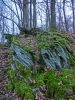 Файл=CIMG3070.JPG
Объём=291KB
Размеры=768x1024
Дата=Апр 21, 2014 CIMG3070.JPG