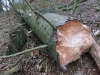 Файл=CIMG3078.JPG
Объём=209KB
Размеры=1024x768
Дата=Апр 21, 2014 CIMG3078.JPG