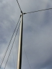 CIMG3144.JPG