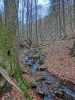 Файл=CIMG3257.JPG
Объём=310KB
Размеры=768x1024
Дата=Апр 21, 2014 CIMG3257.JPG
