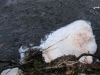 Файл=CIMG3303.JPG
Объём=318KB
Размеры=2048x1536
Дата=Май 29, 2014 CIMG3303.JPG