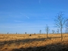 Файл=CIMG3307.JPG
Объём=381KB
Размеры=2048x1536
Дата=Май 29, 2014 CIMG3307.JPG