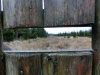 Файл=CIMG3334.JPG
Объём=398KB
Размеры=2048x1536
Дата=Май 29, 2014 CIMG3334.JPG