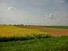 CIMG3672.JPG
