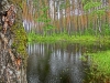 Файл=CIMG4527.JPG
Объём=297KB
Размеры=1024x768
Дата=Дек 16, 2014 CIMG4527.JPG