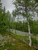 Файл=CIMG4599.JPG
Объём=280KB
Размеры=768x1024
Дата=Дек 16, 2014 CIMG4599.JPG