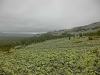 CIMG4609.JPG