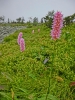 Файл=CIMG4616.JPG
Объём=143KB
Размеры=768x1024
Дата=Дек 16, 2014 CIMG4616.JPG